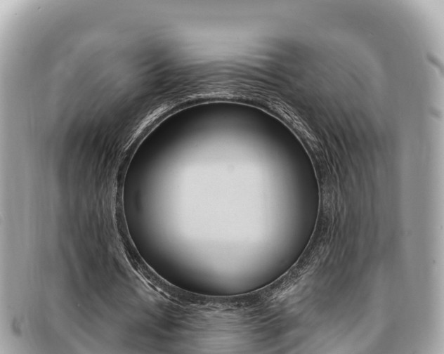 X0000091540434200708171013
