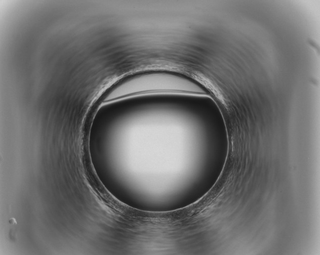 X0000091540436200708171013