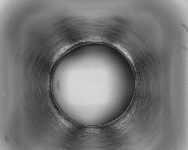 X0000091540437200708171013