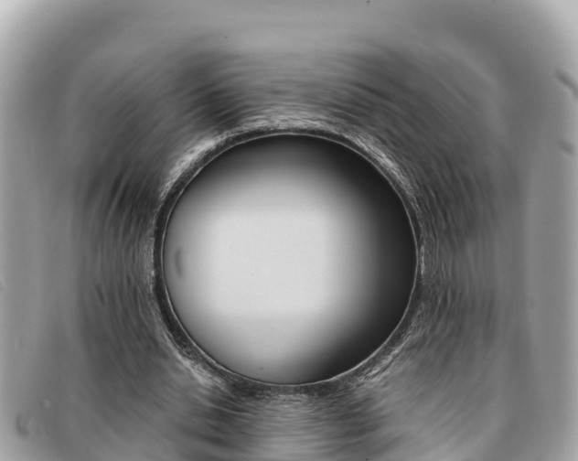 X0000091540438200708171013