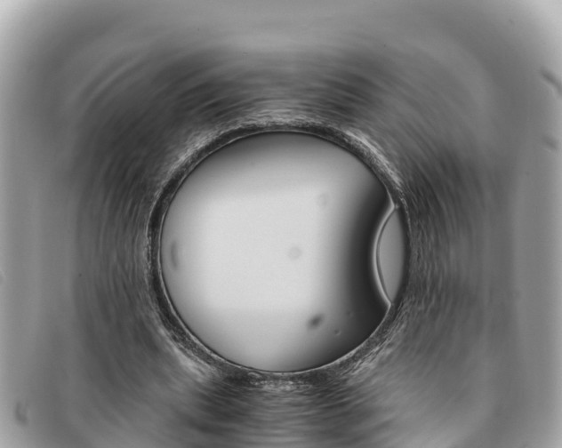 X0000091540439200708171013