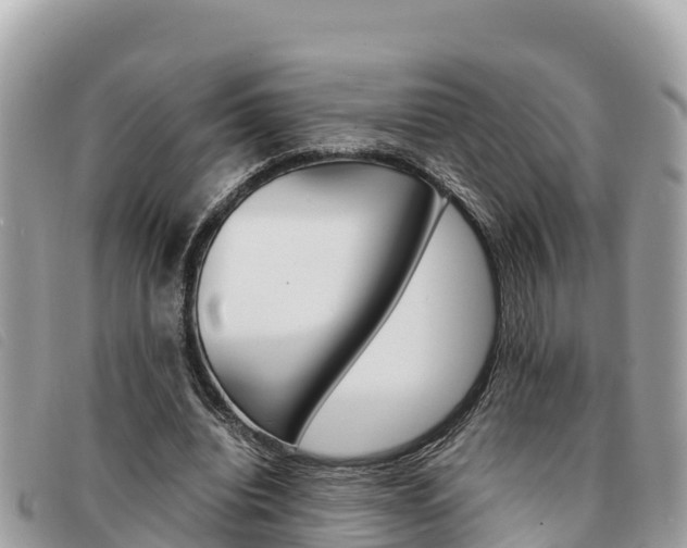 X0000091540440200708171013