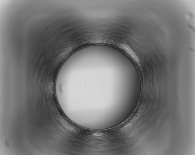 X0000091540441200708171013