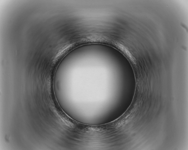 X0000091540442200708171013
