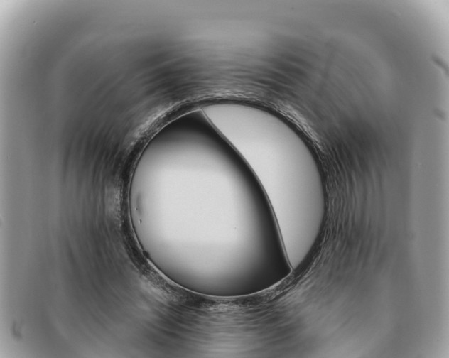 X0000091540444200708171013