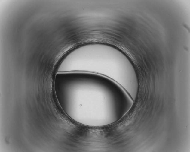 X0000091540446200708171013
