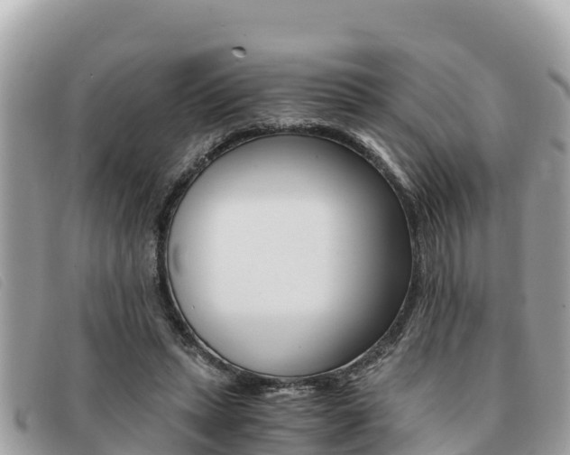 X0000091540447200708171013