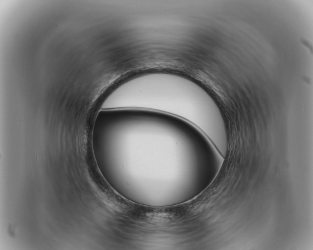 X0000091540448200708171013
