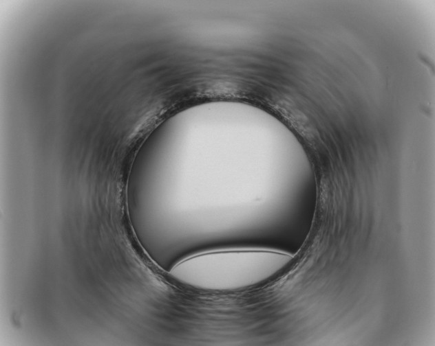X0000091540449200708171013