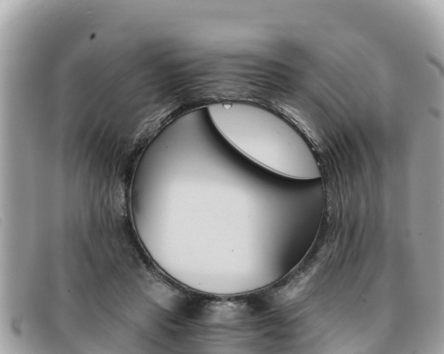 X0000091540453200708171013