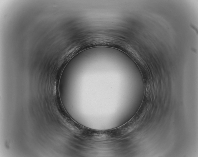 X0000091540454200708171013