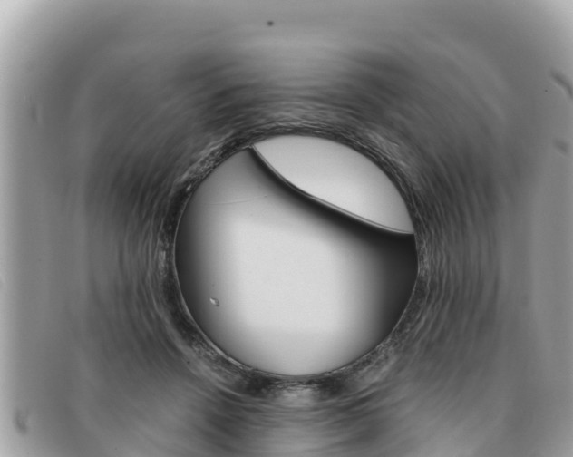 X0000091540456200708171013