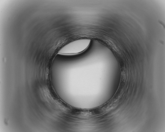 X0000091540458200708171013
