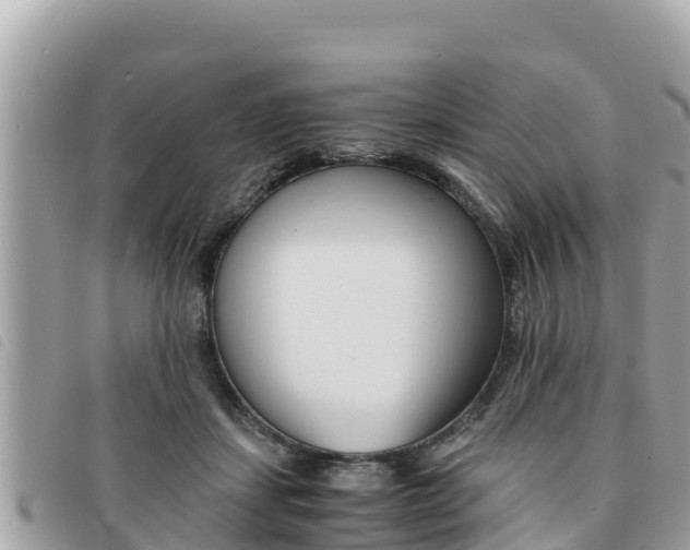 X0000091540459200708171013