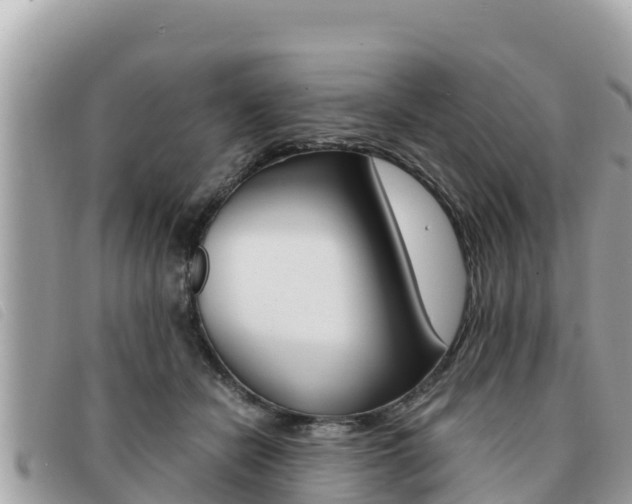 X0000091540462200708171013