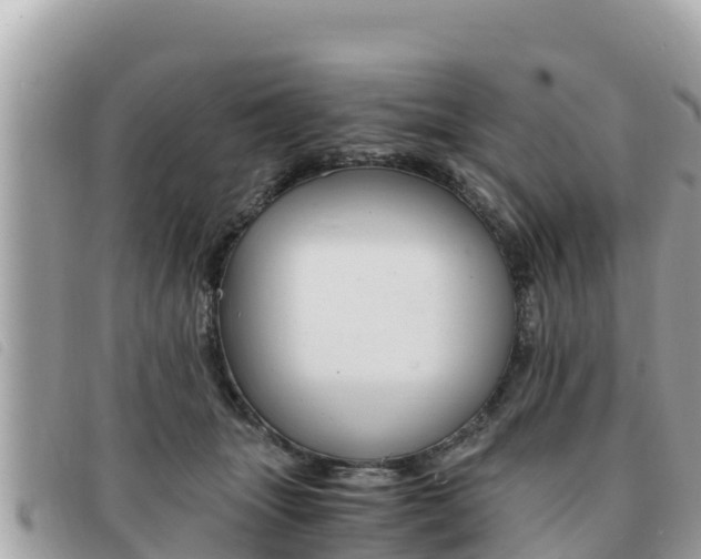 X0000091540463200708171013