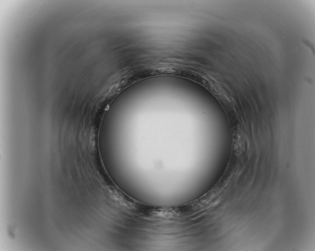 X0000091540466200708171013