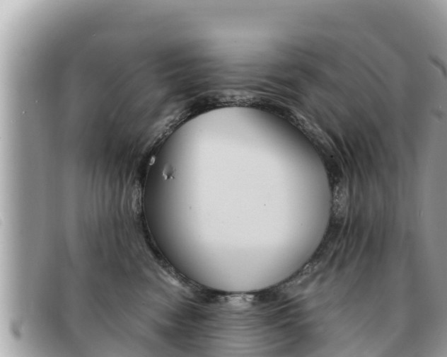 X0000091540474200708171013