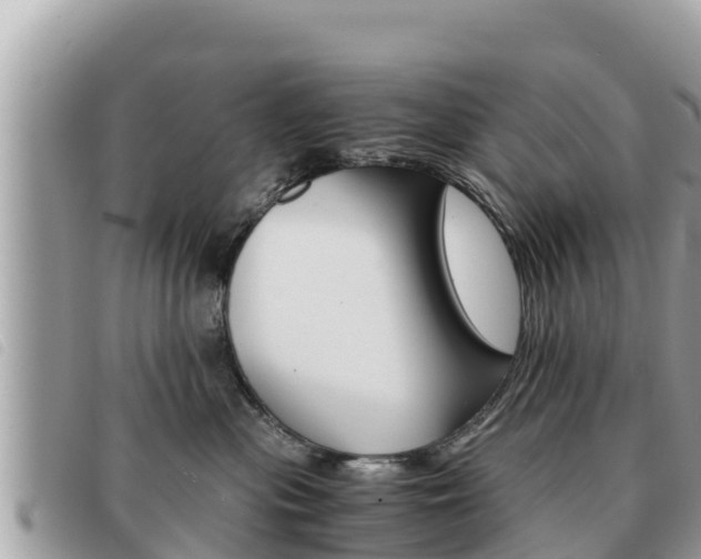 X0000091540477200708171013