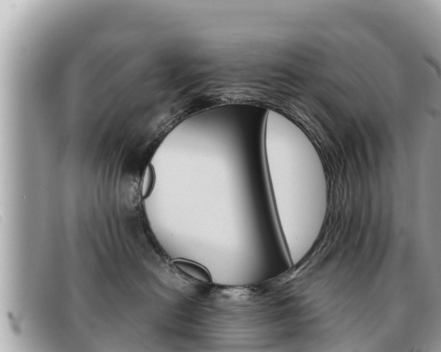 X0000091540478200708171013