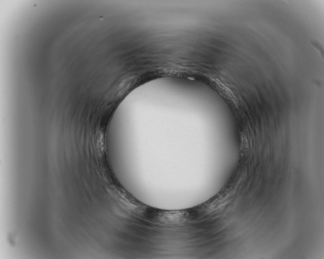 X0000091540479200708171013