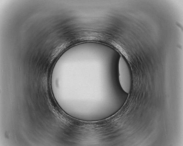 X0000091540482200708171013