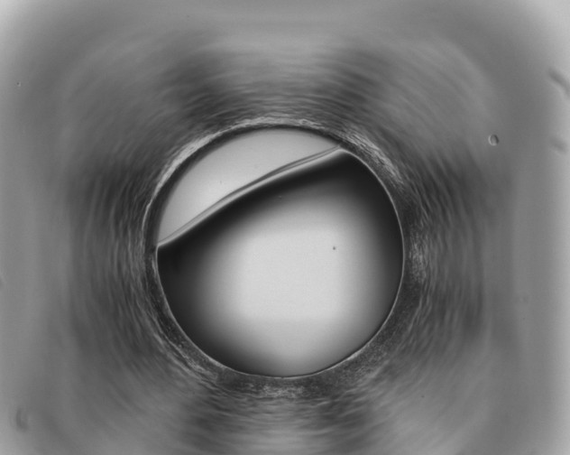 X0000091540484200708171013
