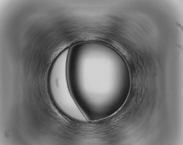 X0000091540485200708171013