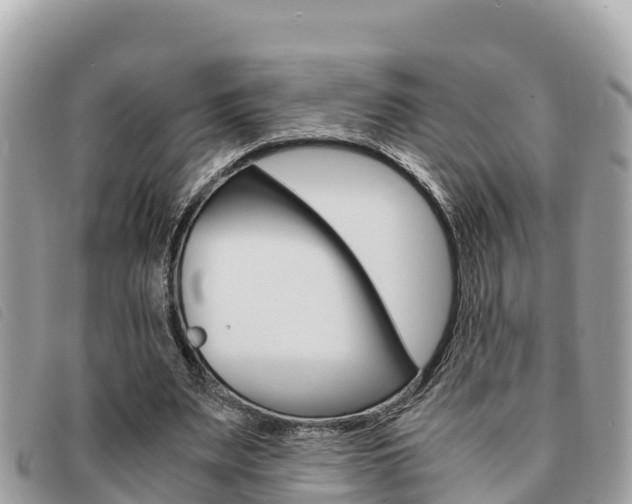 X0000091540487200708171013
