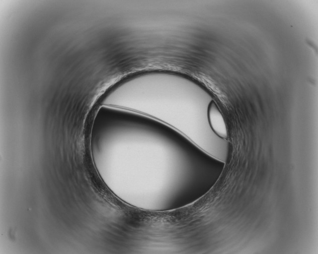 X0000091540488200708171013