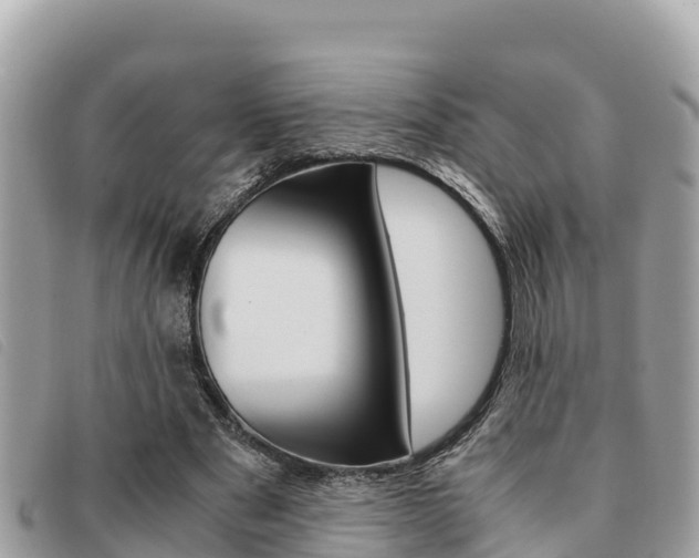 X0000091540489200708171013