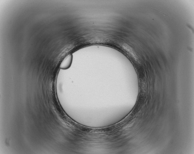 X0000091540491200708171013