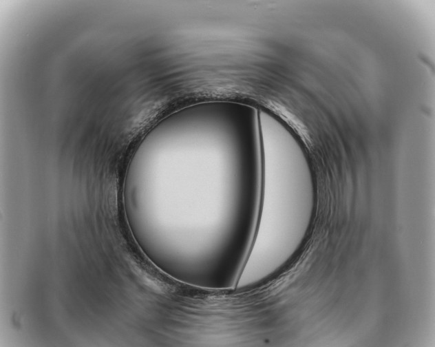 X0000091540493200708171013
