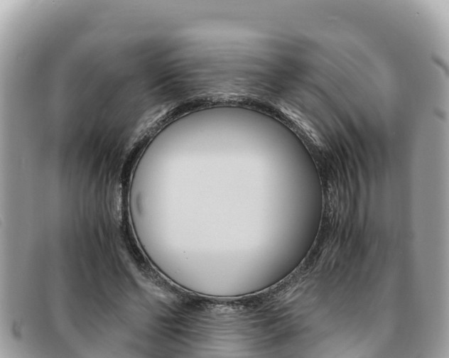 X0000091540494200708171013