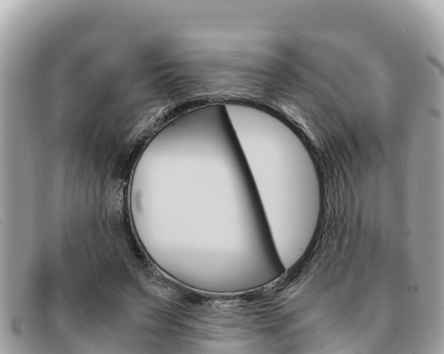 X0000091540495200708171013