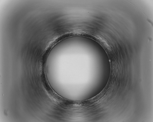 X0000091540496200708171013