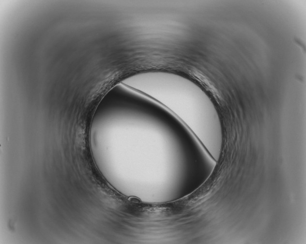 X0000091540497200708171013