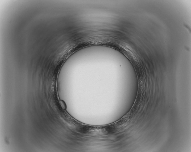 X0000091540499200708171013