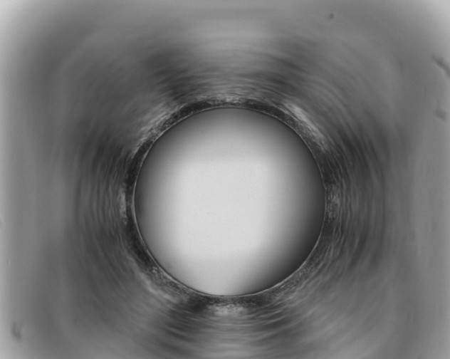 X0000091540500200708171013