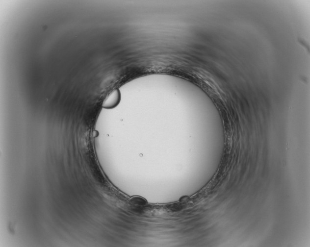 X0000091540503200708171013