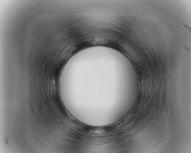 X0000091540506200708171013