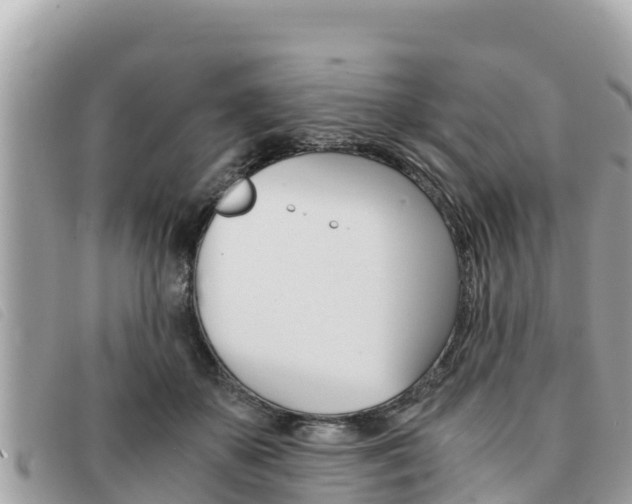 X0000091540507200708171013