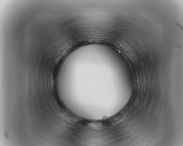 X0000091540508200708171013