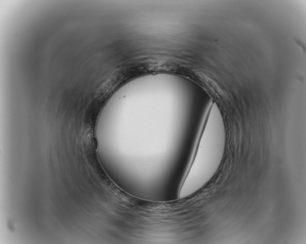 X0000091540513200708171013