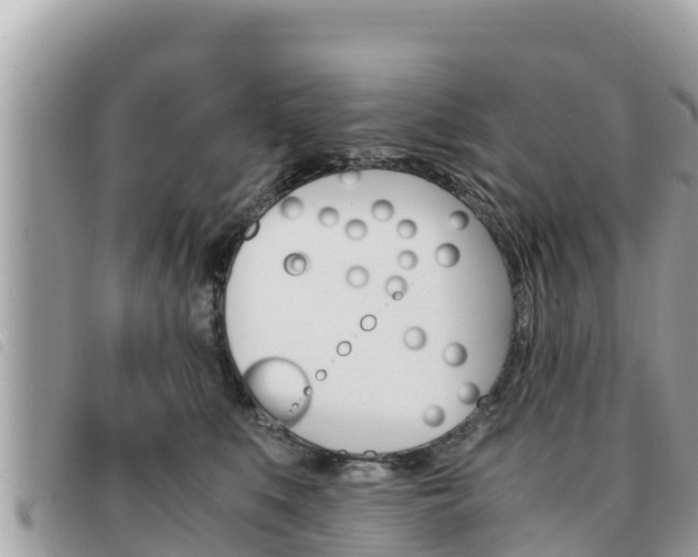 X0000091540519200708171012