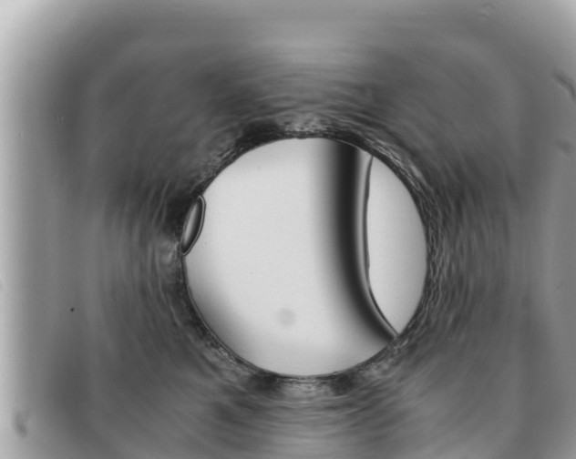 X0000091540521200708171012
