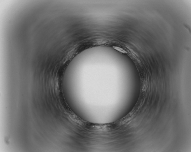 X0000091540524200708171012