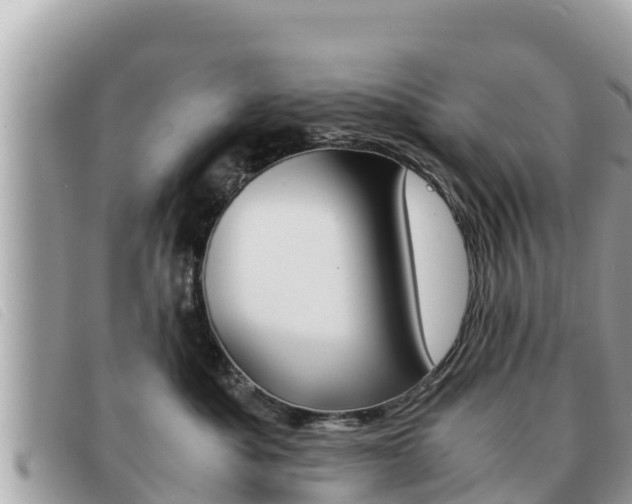X0000091540525200708171012