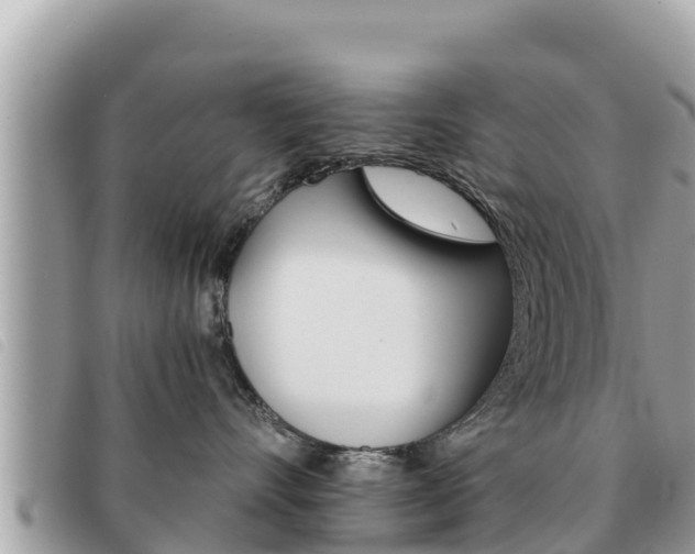 X0000091540528200708171012