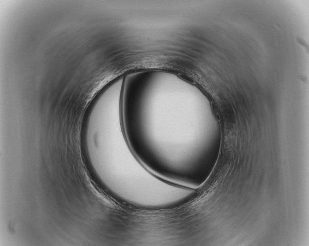 X0000091540530200708171012